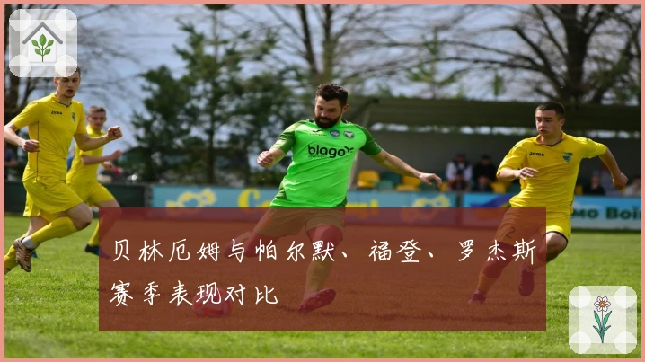 贝林厄姆与帕尔默、福登、罗杰斯赛季表现对比