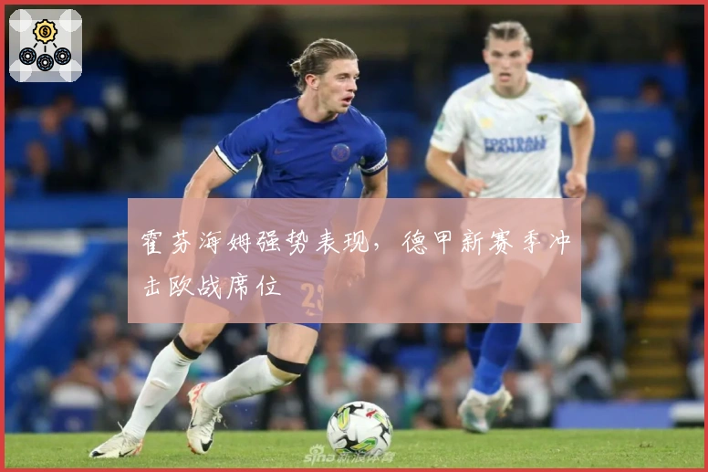 霍芬海姆强势表现，德甲新赛季冲击欧战席位