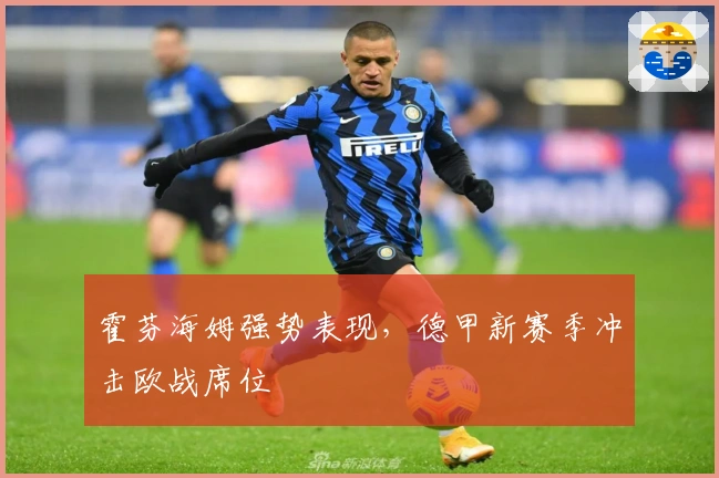 霍芬海姆强势表现，德甲新赛季冲击欧战席位