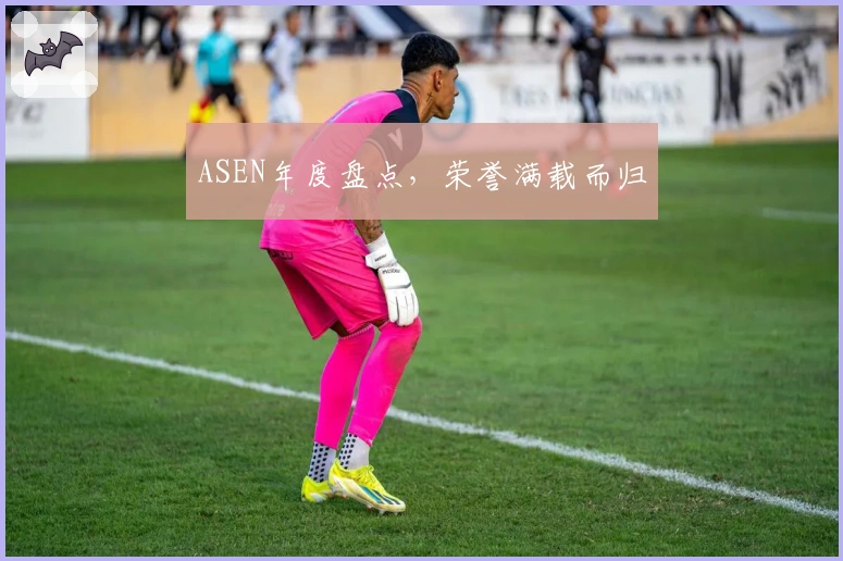 ASEN年度盘点，荣誉满载而归